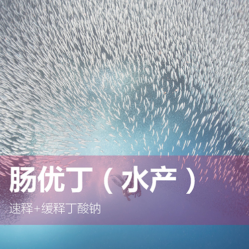 腸優(yōu)丁（水產(chǎn)）